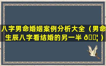 八字男命婚姻案例分析大全（男命生辰八字看结婚的另一半 🐦 ）